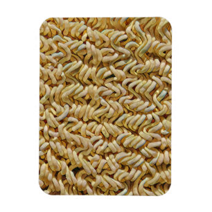 Japanese Food Art Magnet