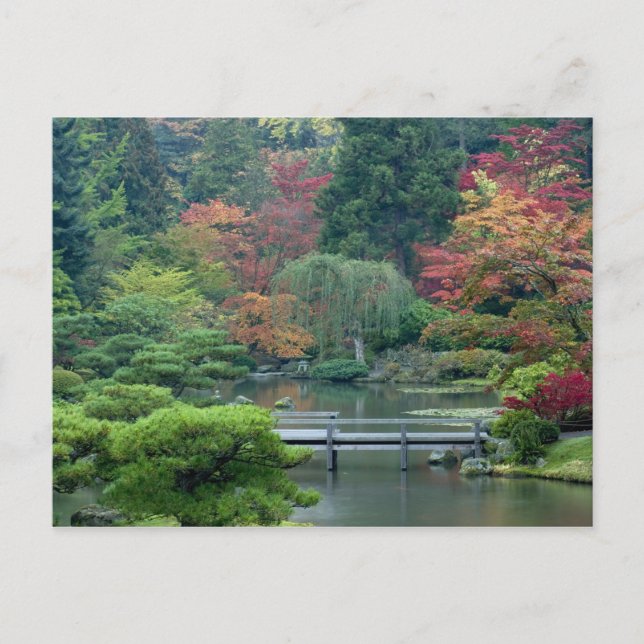 Japanese Garden at the Washington Park Postcard (Front)