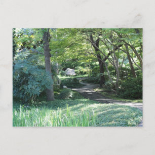 Japanese Garden in Fort Worth Texas # 127 Postcard