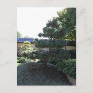 Japanese Garden in Fort Worth Texas # 17 Postcard
