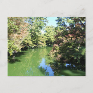 Japanese Garden in Fort Worth Texas # 74 Postcard