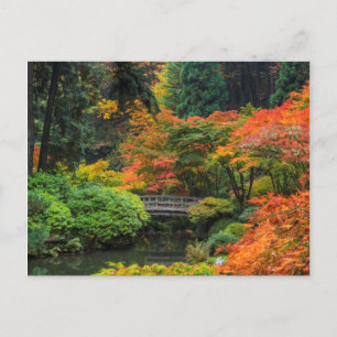 Japanese Gardens In Autumn In Portland, Oregon 5 Postcard