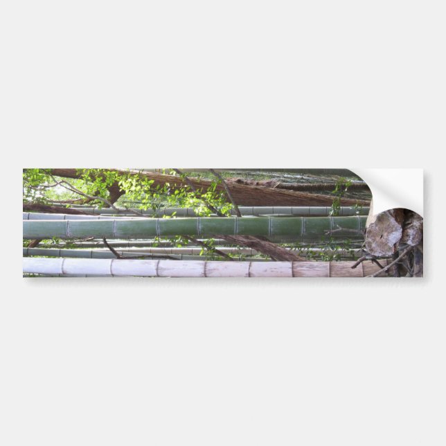 Japanese Giant Bamboo Forest, Sagano, Kyoto, Japan Bumper Sticker (Front)