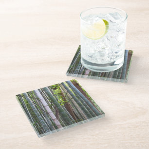 Japanese Giant Bamboo Forest, Sagano, Kyoto, Japan Glass Coaster