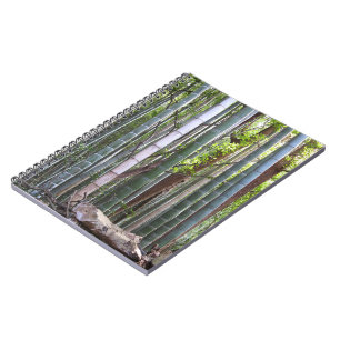 Japanese Giant Bamboo Forest, Sagano, Kyoto, Japan Notebook