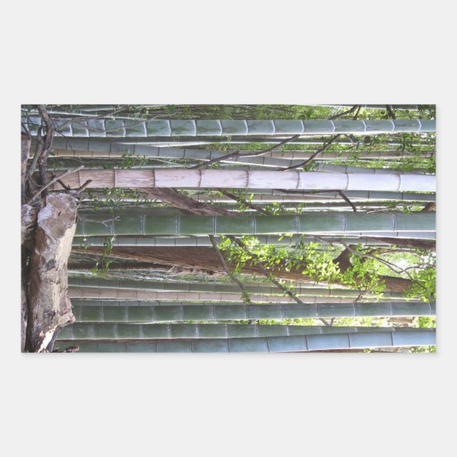 Japanese Giant Bamboo Forest, Sagano, Kyoto, Japan Sticker (Front)
