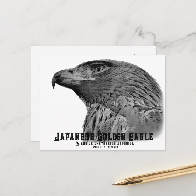 Japanese Golden Eagle Postcard (Front/Back In Situ)