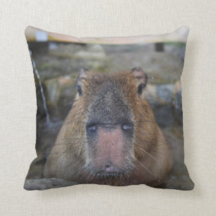 Japanese Hot Spring Capybara Throw Pillow