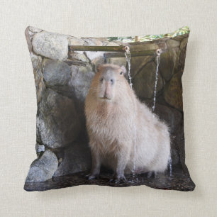 Japanese Hot Spring Capybara Throw Pillow