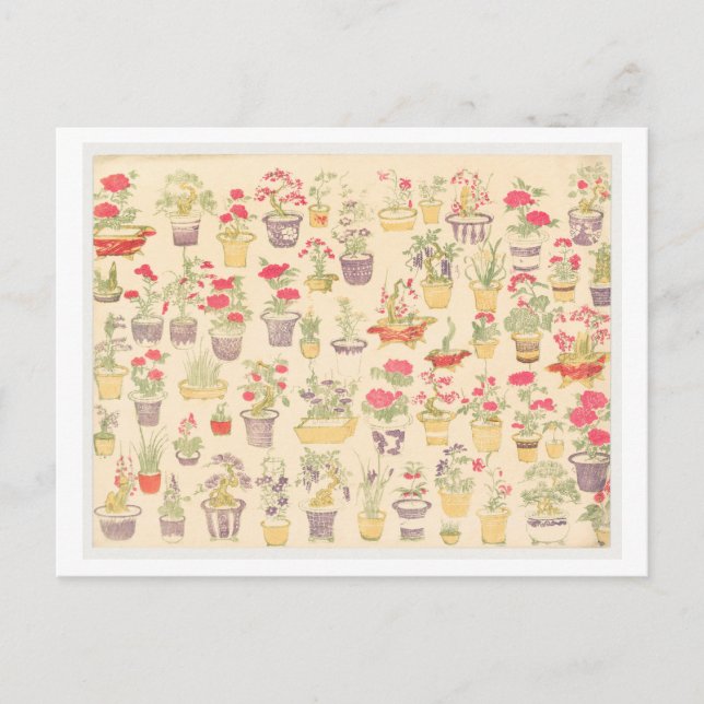 Japanese Illustration of Potted Plants / Bonsai Postcard (Front)