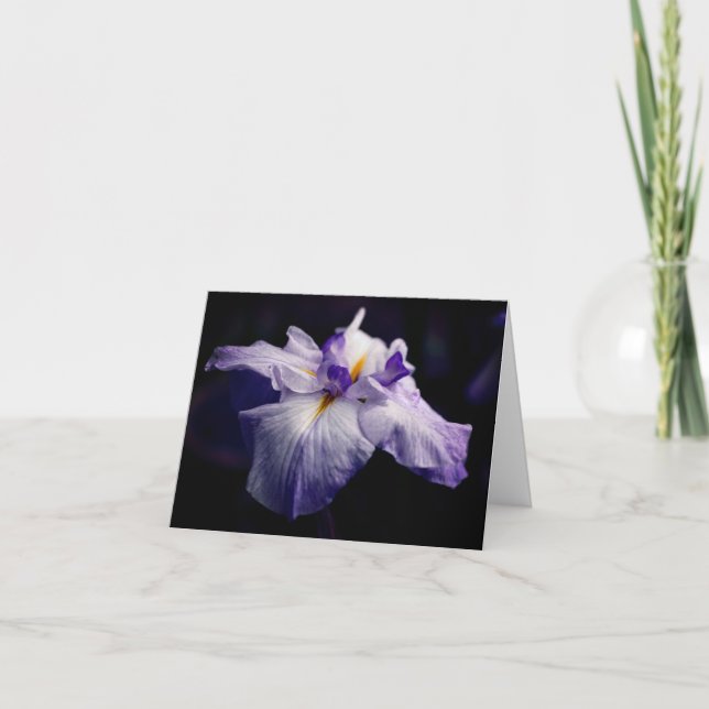 Japanese Iris Beauty Flower Photography Note Card (Front)