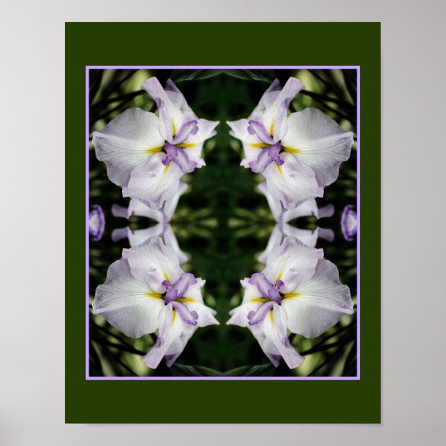 Japanese Iris Flower In Bloom Abstract Poster (Front)