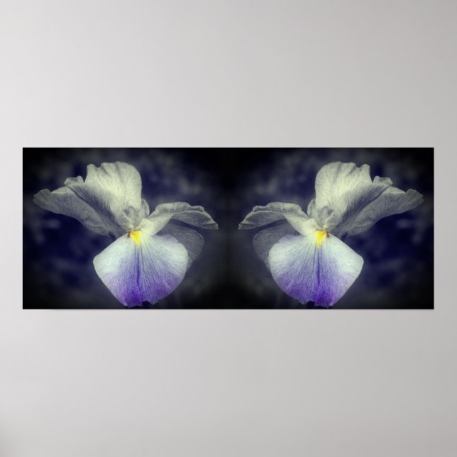 Japanese Iris Flower Partial Colour Mirror Abstrac Poster (Front)