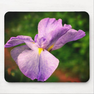 Japanese Iris Unfolding Flower  Mouse Pad