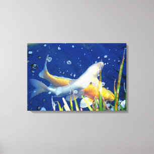 japanese koi carp canvas print