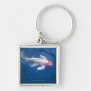 Japanese koi fish in pond, high angle view keychain