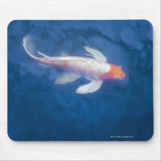 Japanese koi fish in pond, high angle view mouse pad
