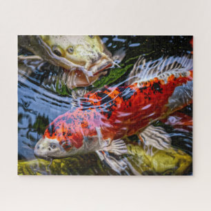 Japanese Koi Fish Pond Jigsaw Puzzle