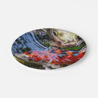 Japanese Koi Fish Pond Paper Plate