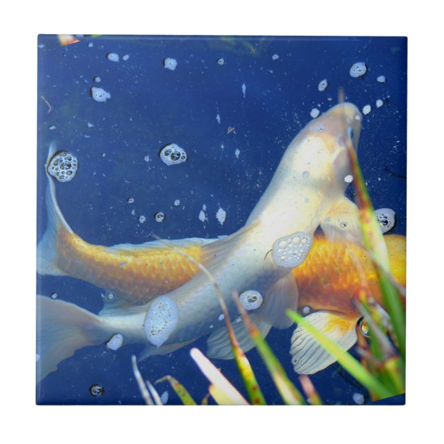 japanese koi pond blue tile (Front)