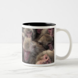 Japanese macaque (Macaca fuscata) huddled Two-Tone Coffee Mug