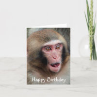 Japanese Macaque Monkey Birthday Card