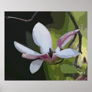 Japanese Magnolia Art Print -24x20 -or smaller