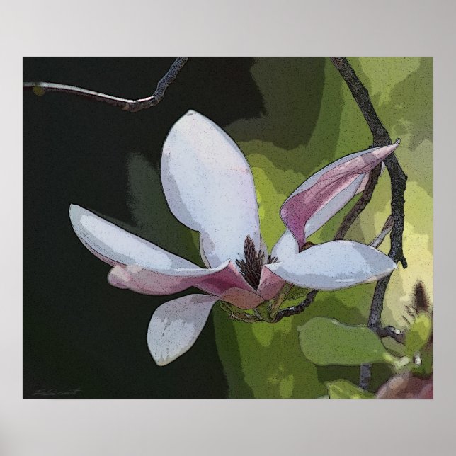 Japanese Magnolia Art Print -24x20 -or smaller (Front)