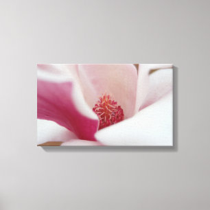 Japanese Magnolia Canvas Decor