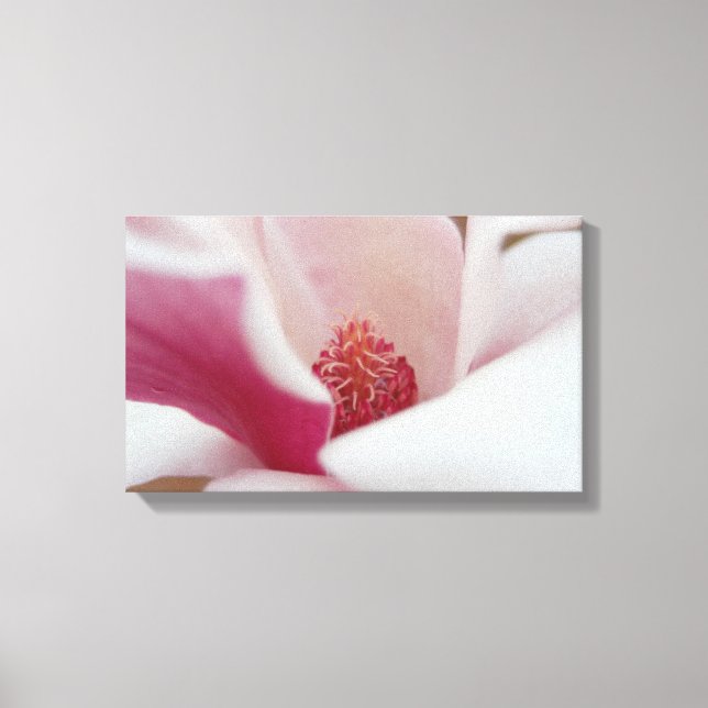 Japanese Magnolia Canvas Decor (Front)