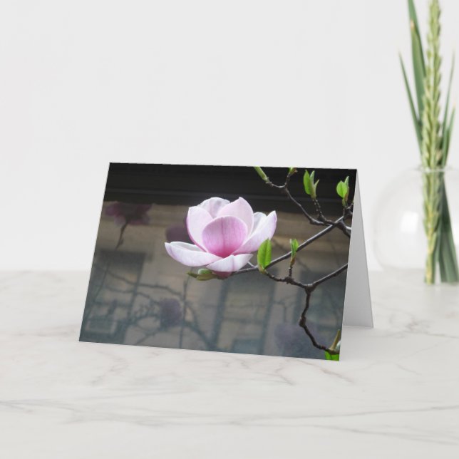 JAPANESE MAGNOLIA  NOTE CARD (Front)