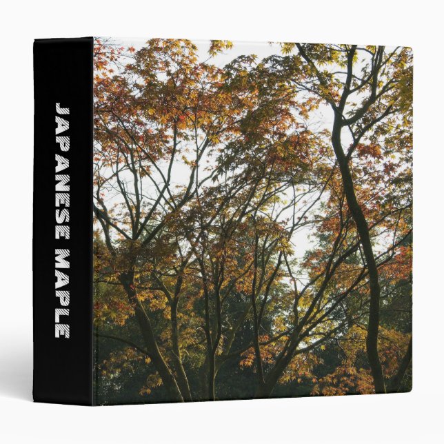 Japanese Maple II (1.5in) Binder (Front/Spine)