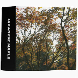 Japanese Maple II (2in) Binder