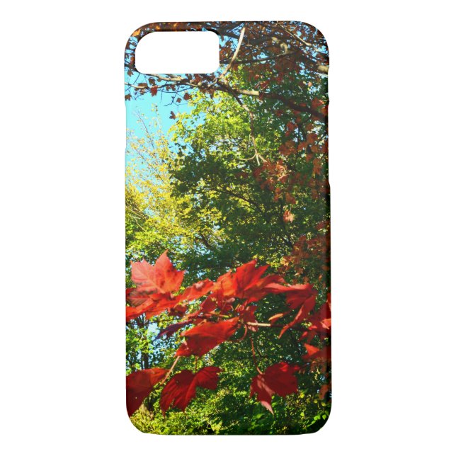 Japanese Maple in Autumn Case-Mate iPhone Case (Back)