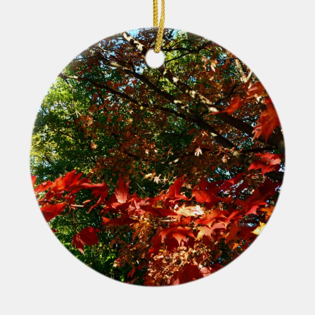 Japanese Maple in Autumn Ceramic Ornament (Front)