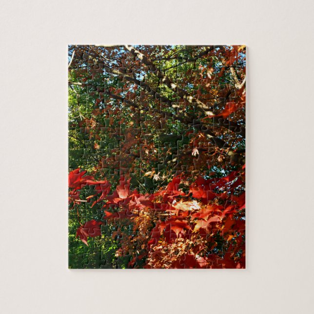 Japanese Maple in Autumn Jigsaw Puzzle (Vertical)