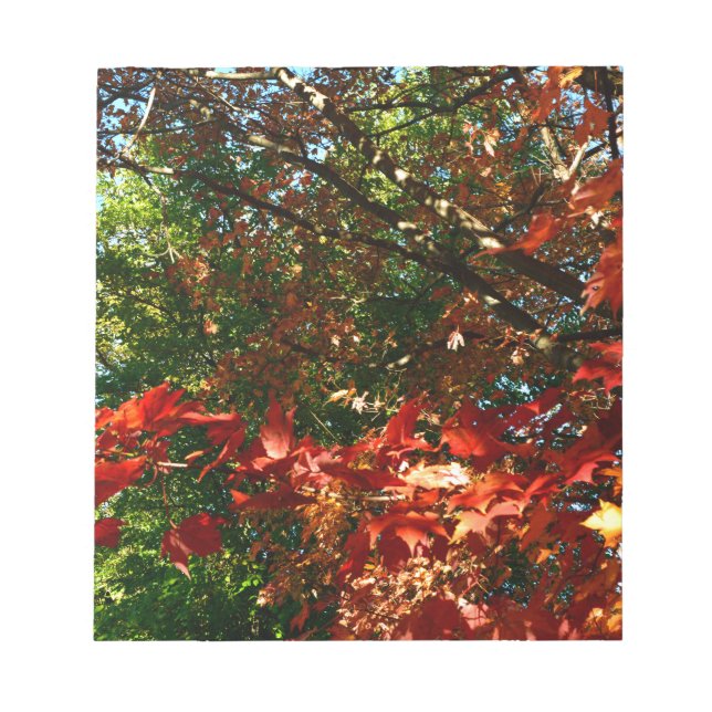 Japanese Maple in Autumn Notepad (Front)