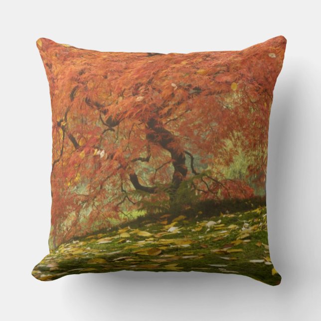 Japanese maple in fall colour throw pillow (Front)