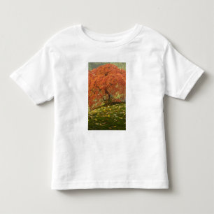 Japanese maple in fall colour toddler t-shirt
