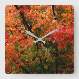 Japanese Maple in Fall Square Wall Clock