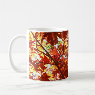 Japanese Maple in the Sun Coffee Mug