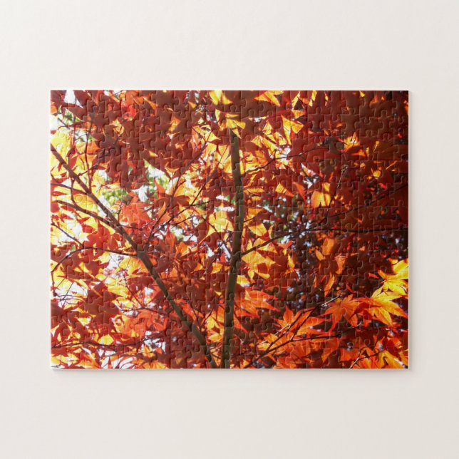 Japanese Maple in the Sun Jigsaw Puzzle (Horizontal)