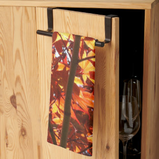Japanese Maple in the Sun Kitchen Towel