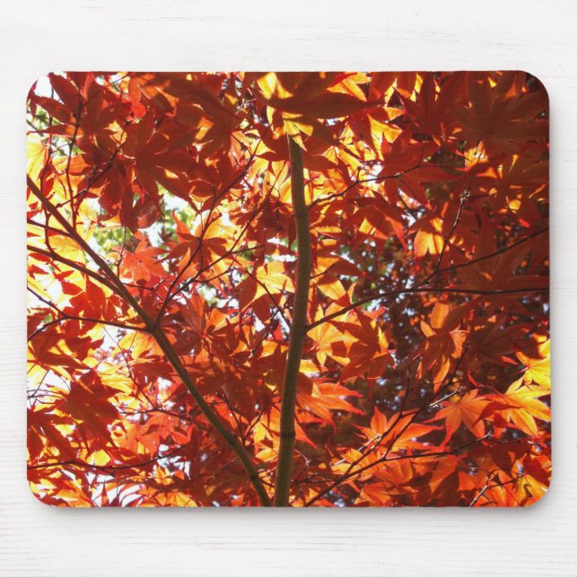 Japanese Maple in the Sun Mouse Pad (Front)