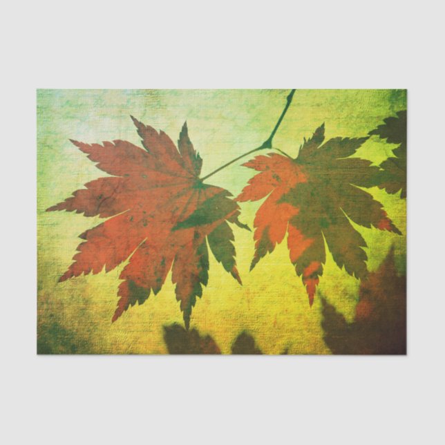 Japanese maple leaf and script fall red green gold tissue paper (Front)