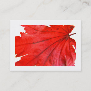 Japanese Maple Leaf (Bordered) Business Card