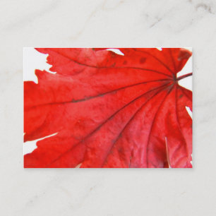 Japanese Maple Leaf Business Card