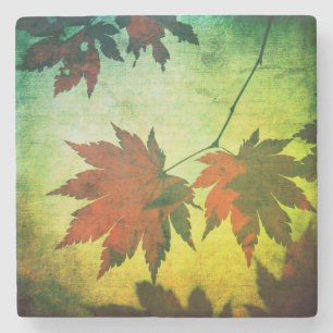 Japanese maple leaf script fall orange green stone coaster