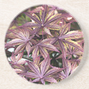 Japanese Maple Leaves Coaster