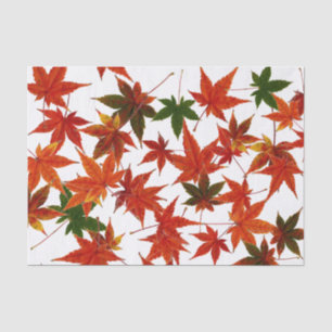 Japanese Maple Leaves  Tissue Paper
